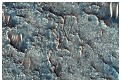 Hunt for Small Ancient Impact Craters near Nili Fossae