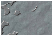 South Pole Residual Cap Albedo and Monitoring
