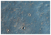 Surface Texture Near Coracis Fossae
