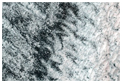 Possible Layering in Marginal Deposit of South Polar Layered Deposit

