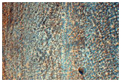 Gullied Impact Crater
