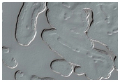 South Polar Residual Cap Monitoring
