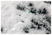 Seasonal Monitoring of Spiders Not on South Polar Layered Deposits
