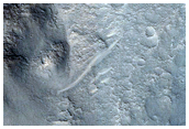 Fans in Crater in Elysium Planitia
