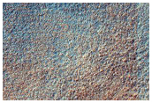 Variety of Previously Identified Gullies
