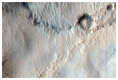 Gully Monitoring
