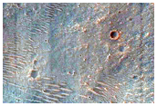 Gullied Crater
