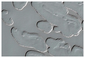 South Polar Residual Cap Monitoring
