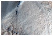 Gully Monitoring
