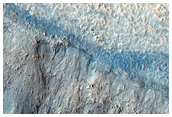 Gully Monitoring
