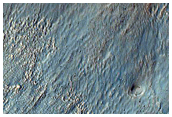 Gullies in Southern Mid-Latitude Crater
