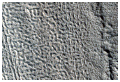 Well-Preserved Crater with Brain Terrain North of Tartarus Colles
