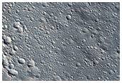 Secondaries from Naryn Crater
