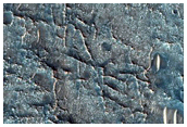 Hunt for Small Ancient Impact Craters Near Nili Fossae
