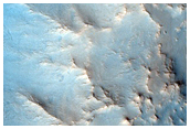 Light Colored Gullies on a Crater Wall in Nili Fossae
