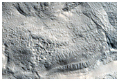 Hollows Near Cerulli Crater
