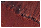 Gullies in Sisyphi Cavi
