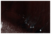 Gullies in Sisyphi Cavi
