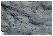 Group of Cracks in Northern Mid-Latitude Crater
