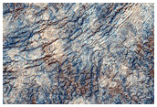 Cryptic Terrain Margin Monitoring in Main Crater

