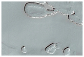 South Polar Residual Cap Monitoring
