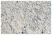 Amazonis Planitia Lava Flows
