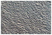 Hrad Vallis
