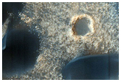West Hellas Planitia Extra-Crater Dune Field
