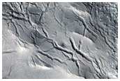Cracked Surface in Depression in Northern Mid-Latitudes
