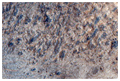 Sulfate Deposits West of Meridiani Planum
