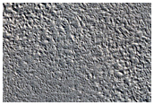 Knob in Arcadia Planitia
