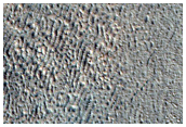 Flow with Multiple Terminal Ridges in Deuteronilus Mensae
