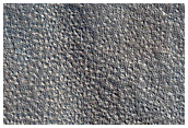 Arcadia Planitia Patterned Ground
