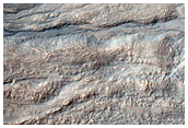 Gullies in Crater in Terra Cimmeria
