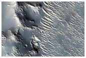 Dendritic Relief Features Near Granicus Valles
