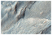Gullies in Southern Mid-Latitude Crater
