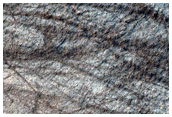 Possible Gullies in Crater
