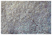 Crater Slope and Dunes in Noachis Terra
