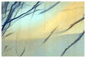 Dunes and Striations

