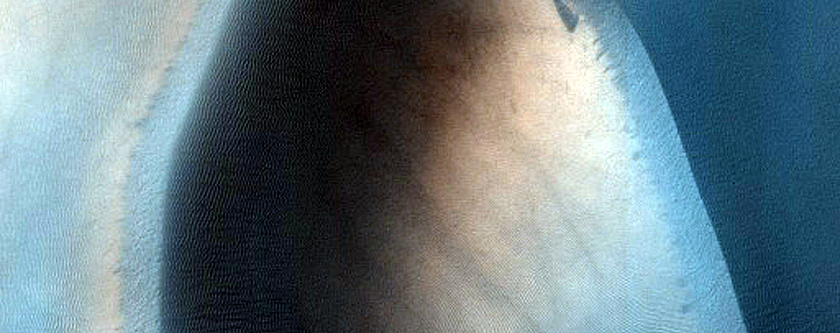 USGS Dune Database Entry Number 1805-710
