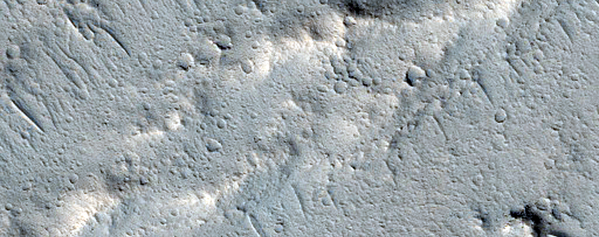 Sacra Sulci Lava
