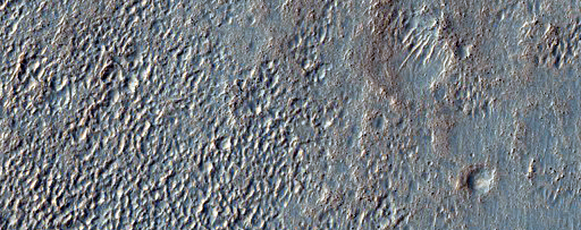 Possible Gullies
