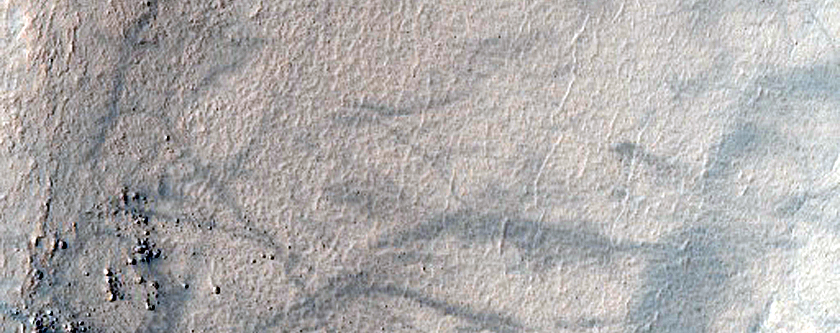 Possible Small Gullies in Crater in Terra Sirenum
