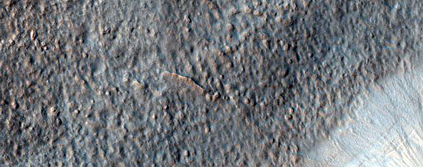 Gullies in Crater on Floor of Newton Crater
