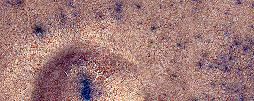 South Polar Terrain
