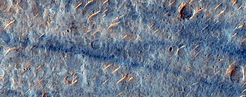 Albedo Monitoring in Melas Dorsa
