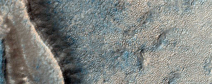Terrain Sample
