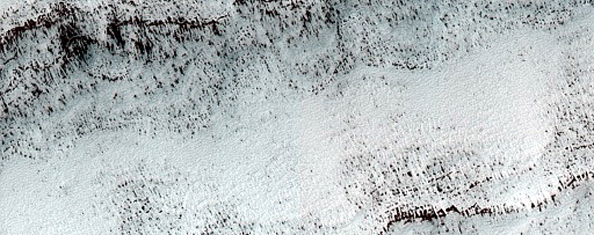 South Polar Residual Cap Intraseasonal Change Monitoring
