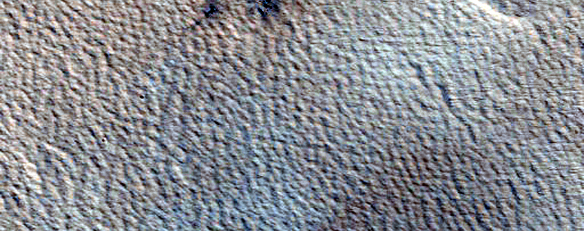 Monitoring New Impact Site
