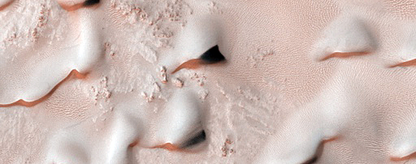 Dune Monitoring in Crater
